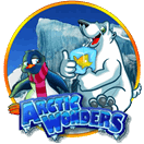 เกมสล็อต Arctic Wonders